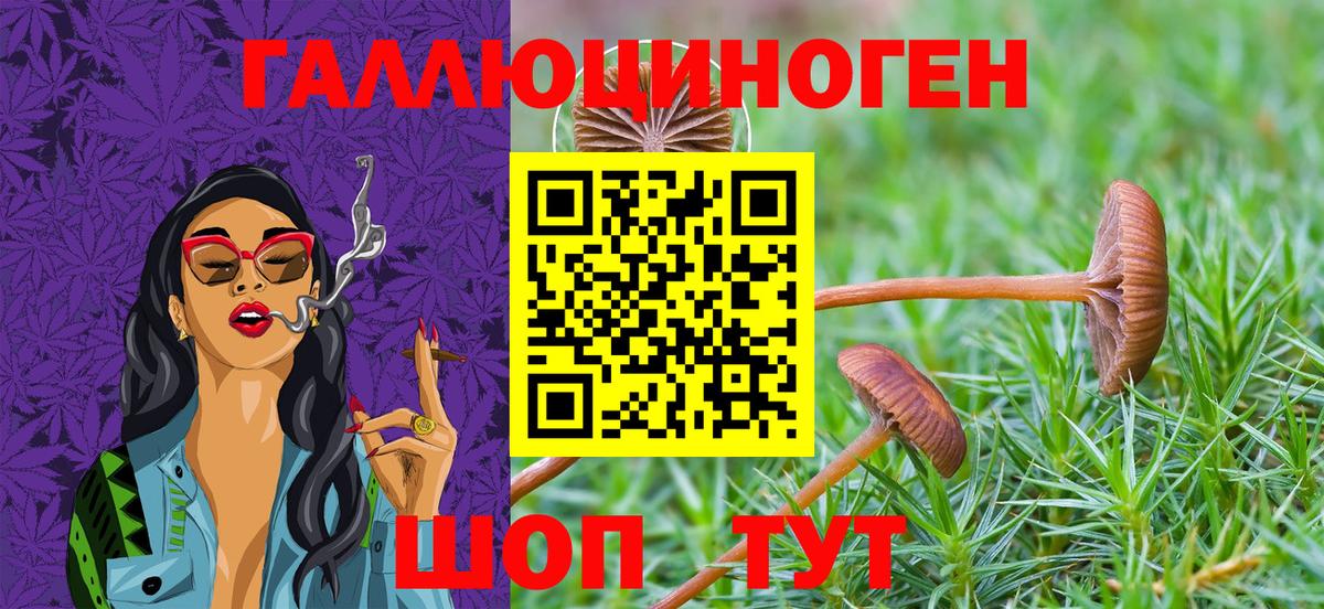 Псилоцибиновые грибы MAGIC MUSHROOMS Отрадное